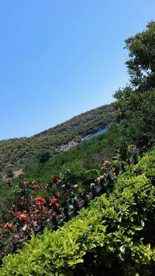 Hotel Marialena Epidaurus Eksteriør billede